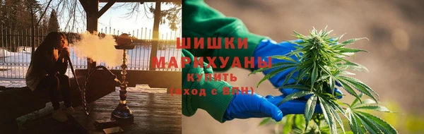 дживик Няндома