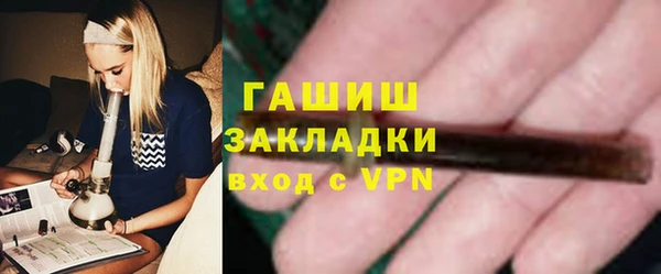 дживик Няндома