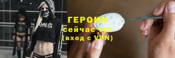 дживик Няндома